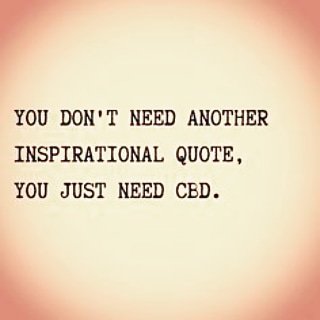 CBDRichardsonTX's tweet photo. Studies show that cbd has many health benefits. Check out this helpful website for more information.
https://t.co/2JxyloDMUS
#CBDplususarichardson #cbd #Richardson  #cannabis #CBDplus https://t.co/1MgNUBzO5x
