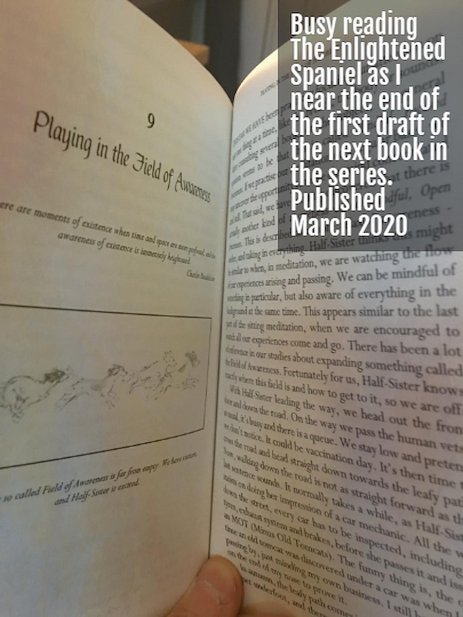 EnlightSpaniel's tweet image. 