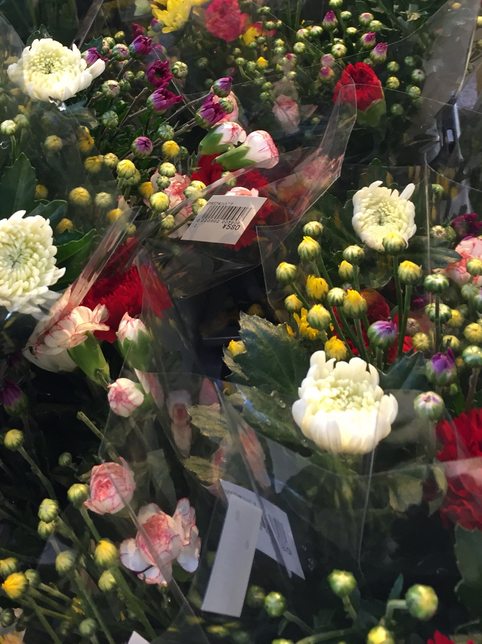 湘南 寒川の花屋 千秋園 9時より 開店 いつも ご来店ありがとうざいます 朝 お墓参りにお出かけしたい方 寒川神社 参道沿い 花屋 千秋園 どうぞ 市場直送 産地直送 たくさんの切花 揃えています お墓参りの花 お供えの花 切花 花束 湘南 寒川の花屋 千秋園 9時より 開店 いつも ご来店ありがとうざいます 朝 お墓参りにお出かけしたい方 寒川神社 参道沿い 花屋 千秋園 どうぞ 市場直送 産地直送 たくさんの切花 揃えています お墓参りの花 お供えの花 切花 花束