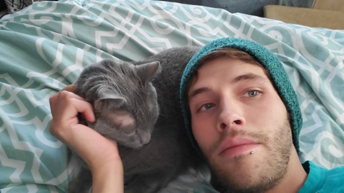 FollowtheBlizz's tweet photo. Is this cat a dork or what like if yes and tell me... if not but c'mon look at that cutie https://t.co/IkMmrsmS9g