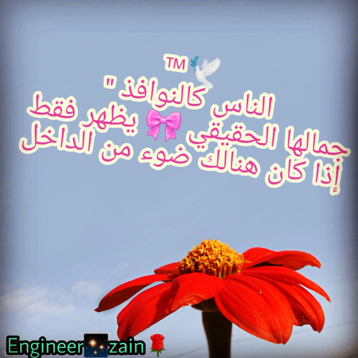 Z_N_89's tweet photo. https://t.co/ScGqeu0hs3