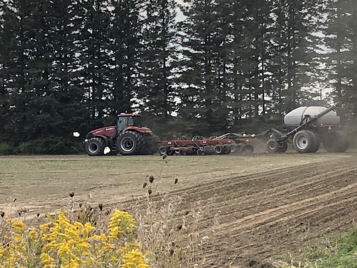 Will Kell (@kellhaven_will) on Twitter photo Big day for the <a href="/Holmesagro/">Holmes Agro</a> research farm today. Spring cereal trials coming off, and winter wheat going in. Thanks to Ken and <a href="/Milk_the_cow4/">Kevin Bryan ❎</a> for their help! Big day for the <a href="/Holmesagro/">Holmes Agro</a> research farm today. Spring cereal trials coming off, and winter wheat going in. Thanks to Ken and <a href="/Milk_the_cow4/">Kevin Bryan ❎</a> for their help!