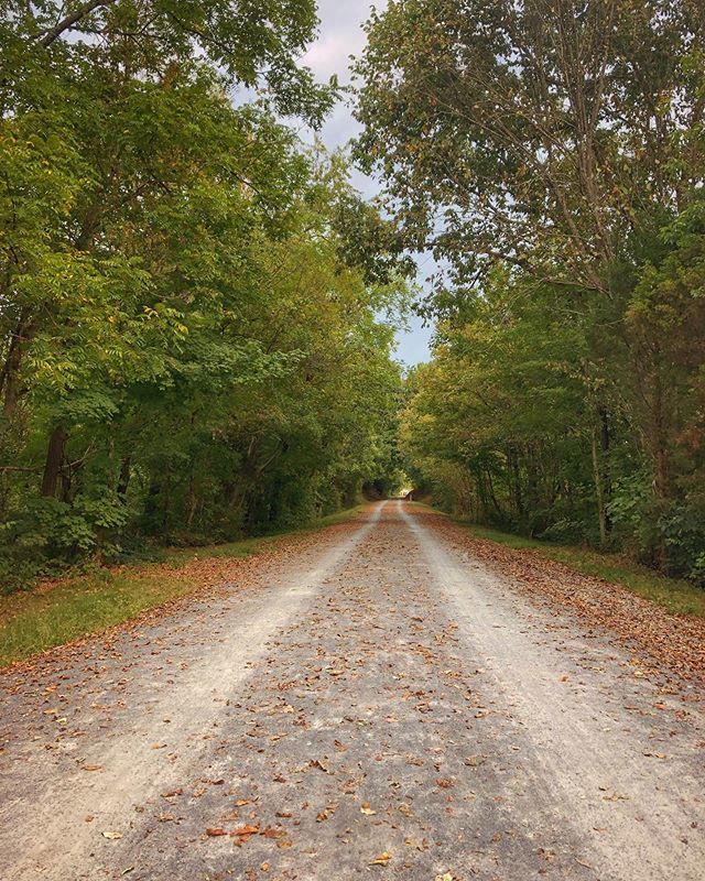 The weather is getting cooler and the leaves are thinking about changing. Have you made plans for a fall adventure in Tennessee’s Mountain Playground yet? ift.tt/32RRfNp