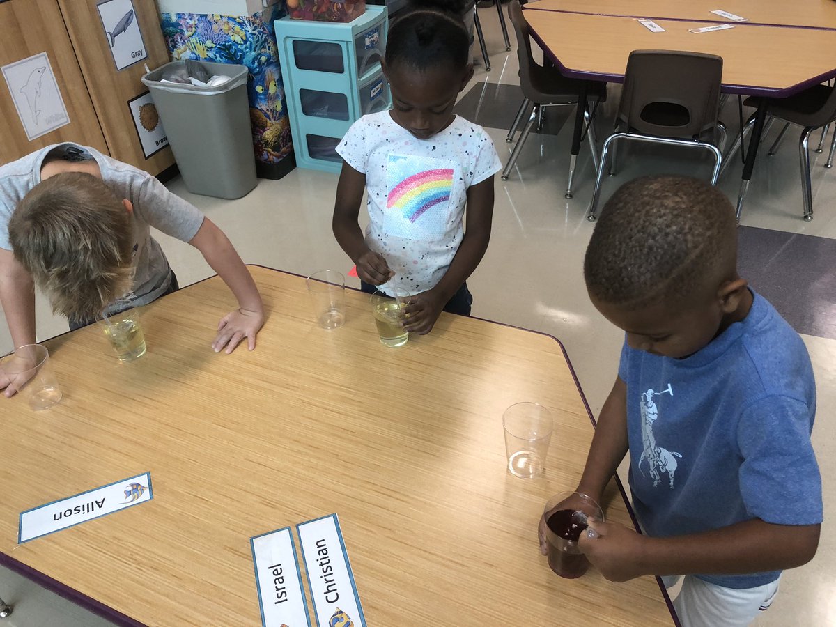 CoombsClass's tweet image. We had fun using our sense of smell with water and tea bags today.  @CoombsClass @DukeElem