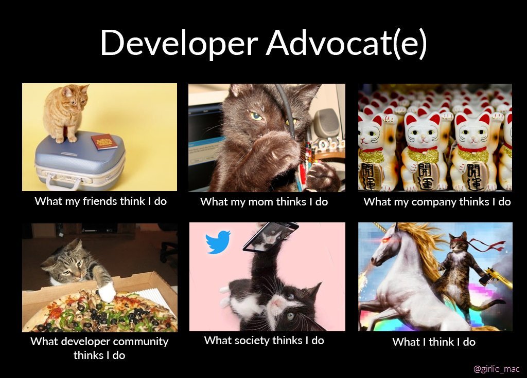 girlie_mac's tweet image. See also: Developer Advocat(e)

#DevRelLife
