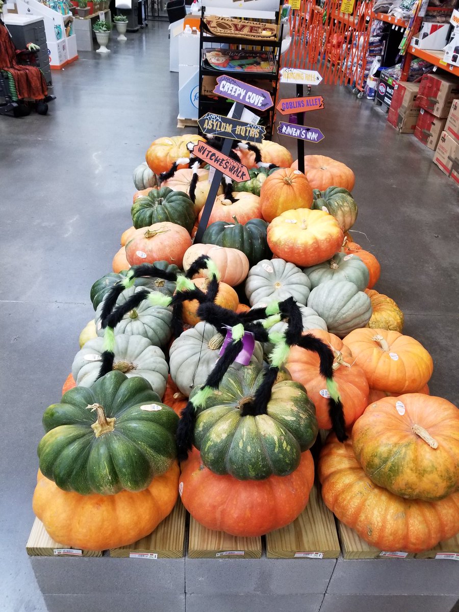 raybes63's tweet photo. Pumpkins have arrived at the White Rock HD and are ready to claim a place in your holiday decor.  Come and get them!! https://t.co/aDSIwBqHIi