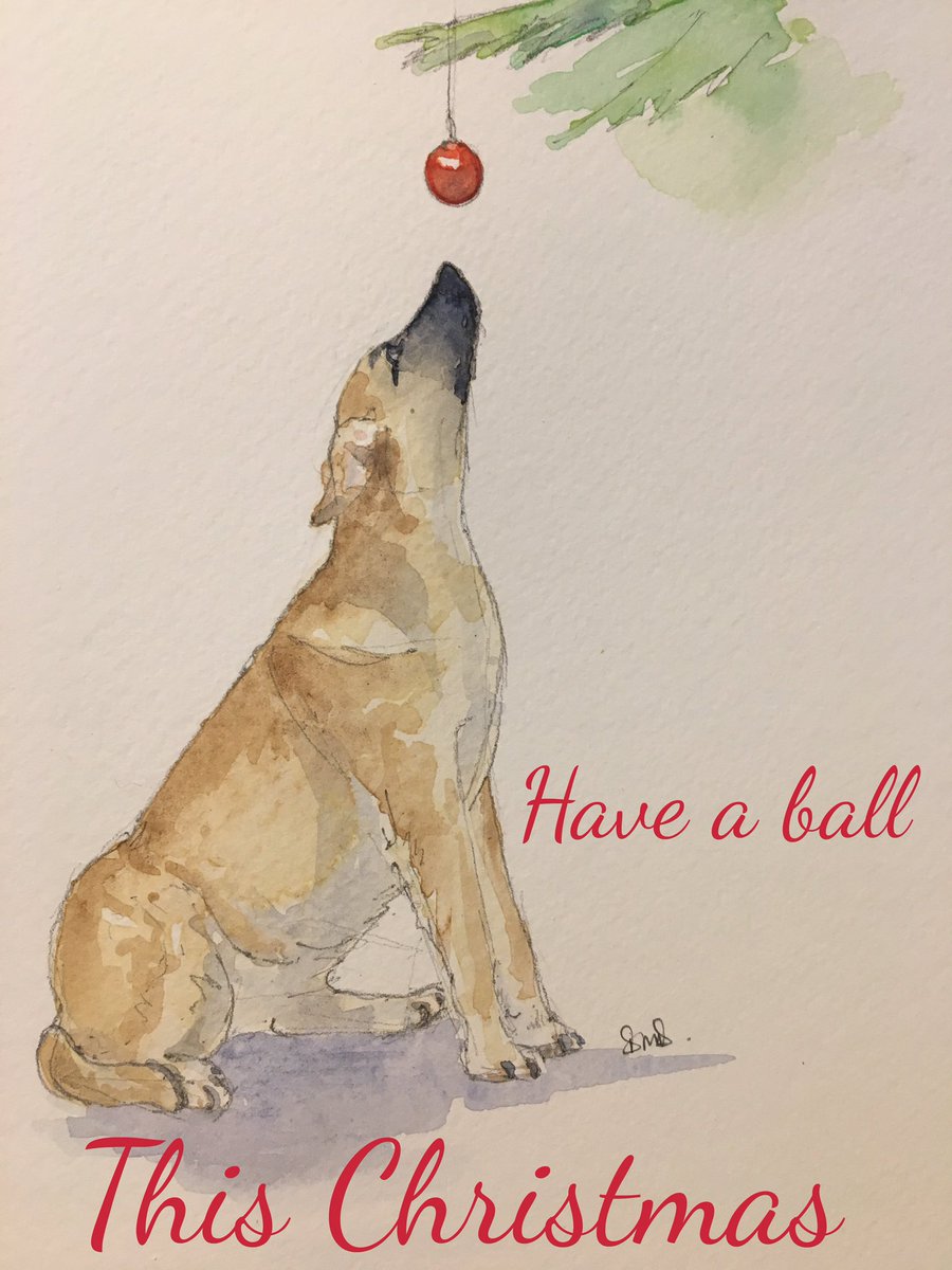 Mimideeart's tweet photo. @neptunenco Dali D.O.G Rescue my Facebook has links to the organisation if you’d like to look into it? Thank you! https://t.co/IbFmtMiqJb