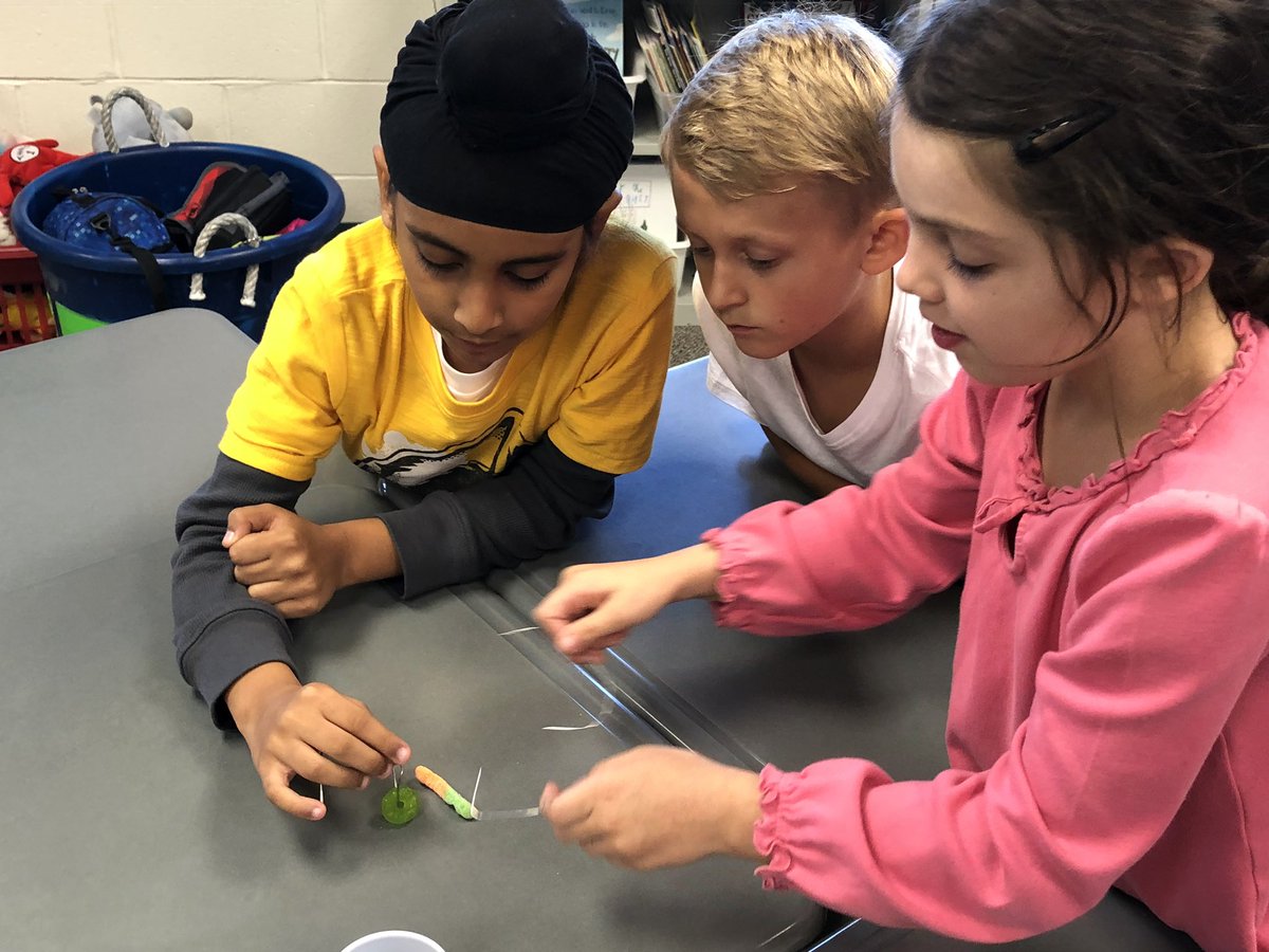 𝕄𝕖𝕘𝕙𝕒𝕟 𝔾𝕣𝕠𝕤𝕤𝕖 tweet media