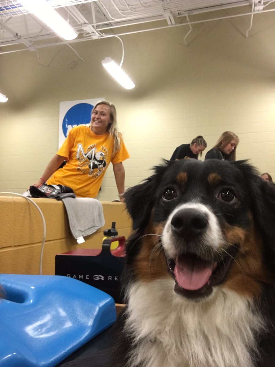 mwsusportsmed's tweet photo. #picwithplayer @MWSU_SAAC #gogriffs https://t.co/3Qa4EJbjo1