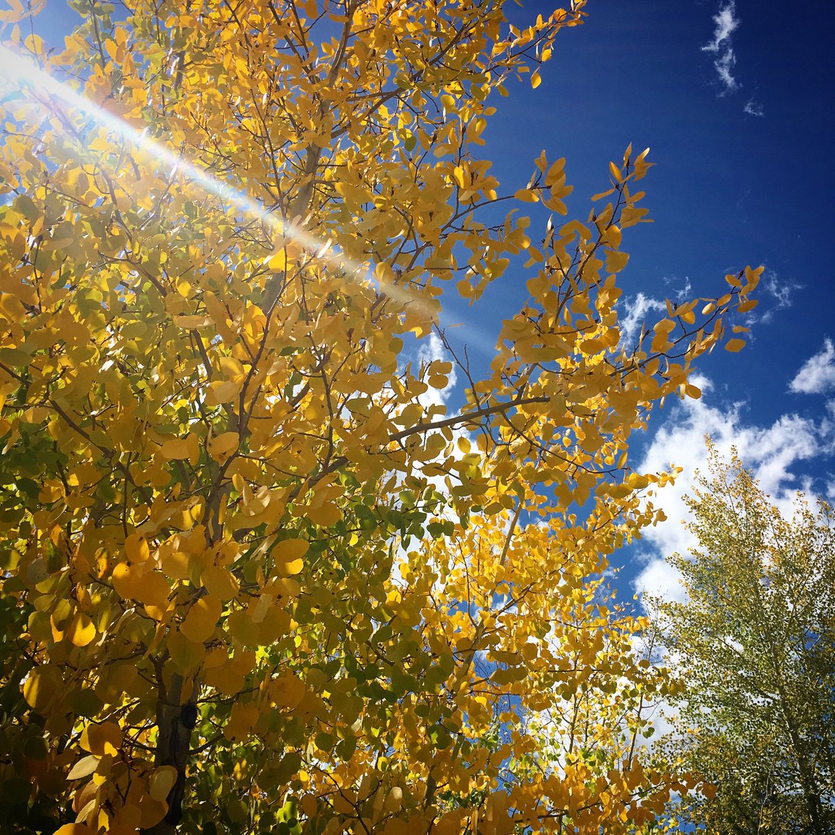 PlayWinterPark's tweet photo. Are you leaf peeping this weekend??? https://t.co/14o7HOxAIR