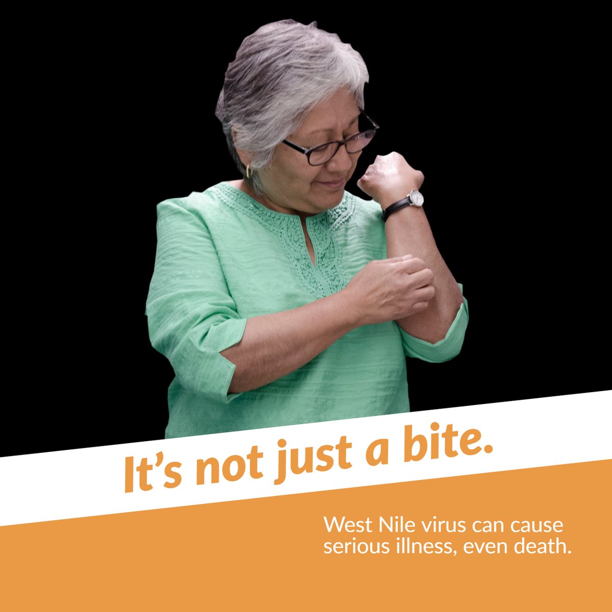 lapublichealth's tweet photo. Everyone is at risk for West Nile virus. People over age 50 and those with health problems are at greater risk of serious illness, even death. To prevent West Nile virus, avoid mosquito bites. #NotJustABite https://t.co/efoJdrB7FQ