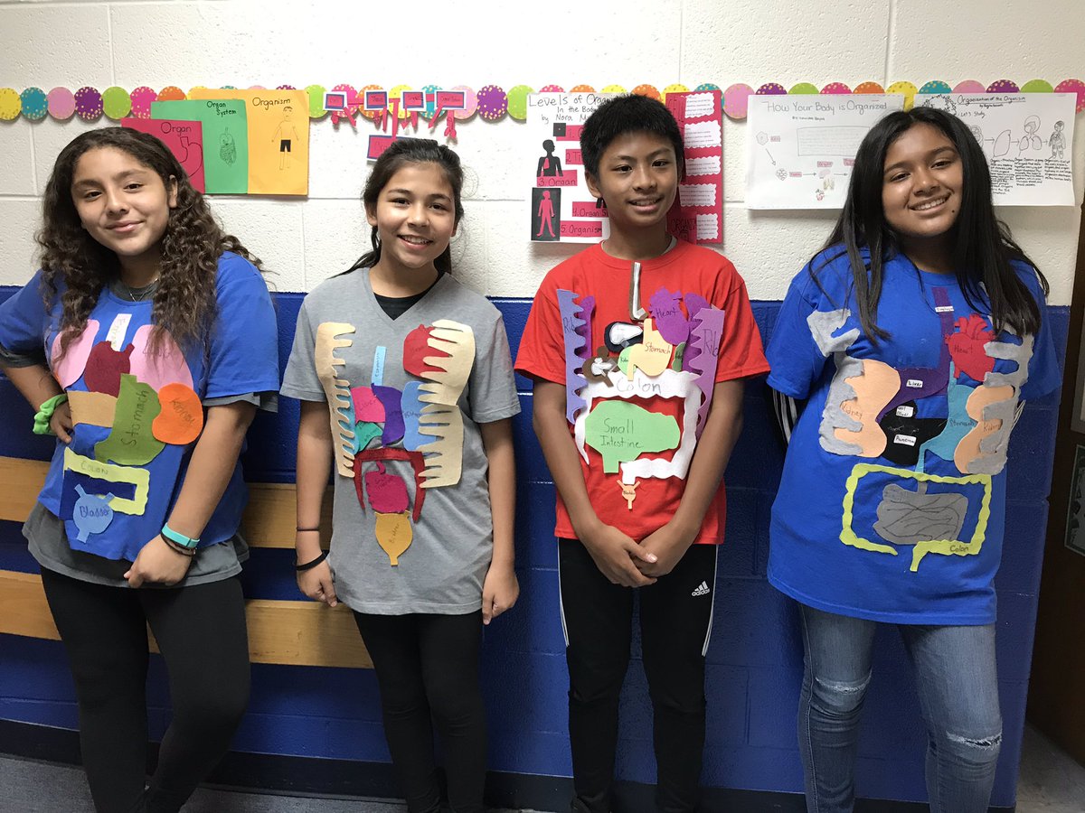 SMSCrusader's tweet photo. Internal organs are invisible, making it difficult to learn their size & position but not today. In 7th grade science, Mrs. Ballard had her students better conceptualize their anatomy by making & wearing organ t-shirts. #WhyWeLoveScience #STEMeducation https://t.co/hKiOO5mF6k