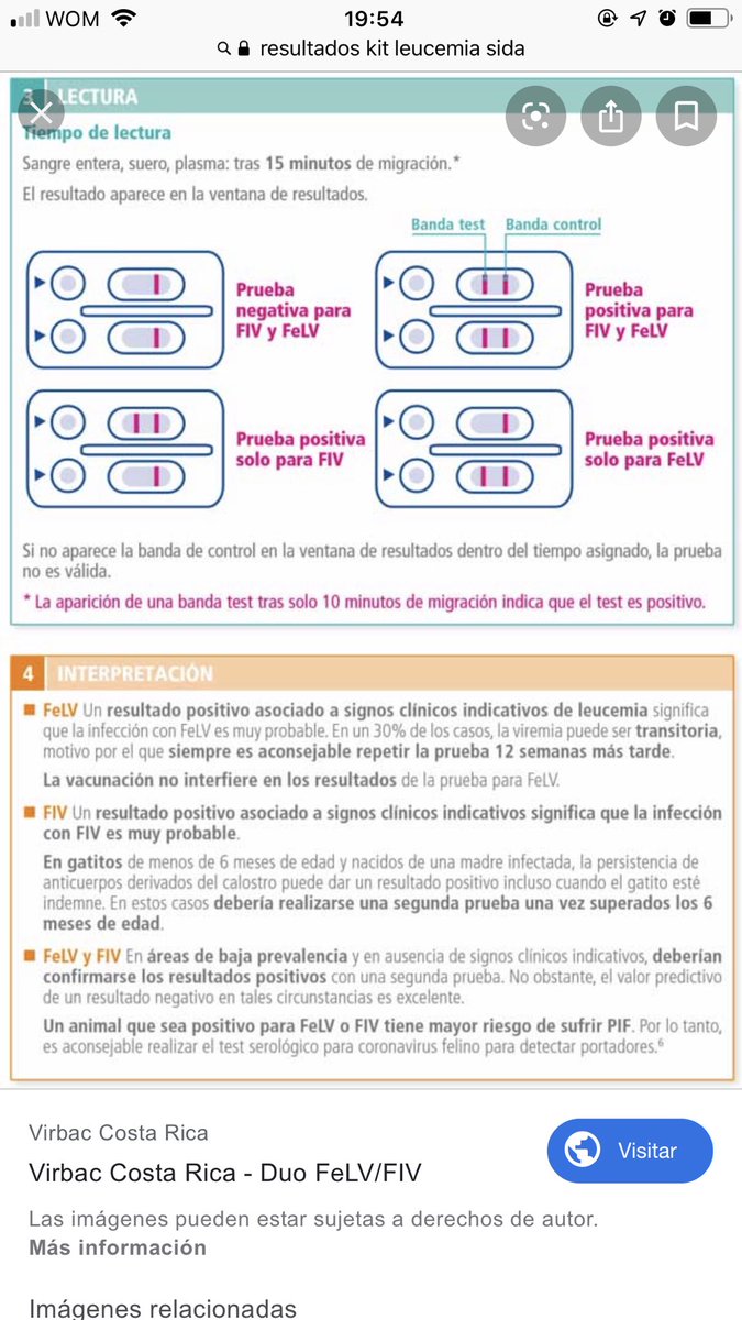 DanielaPinoV's tweet photo. @sotomayor_el Así como en la fotografía positivo sida y leucemia ambas bandas se visualizan la superior es fiv ( sida) y la inferior es felv ( leucemia) https://t.co/5hMSIE44iY