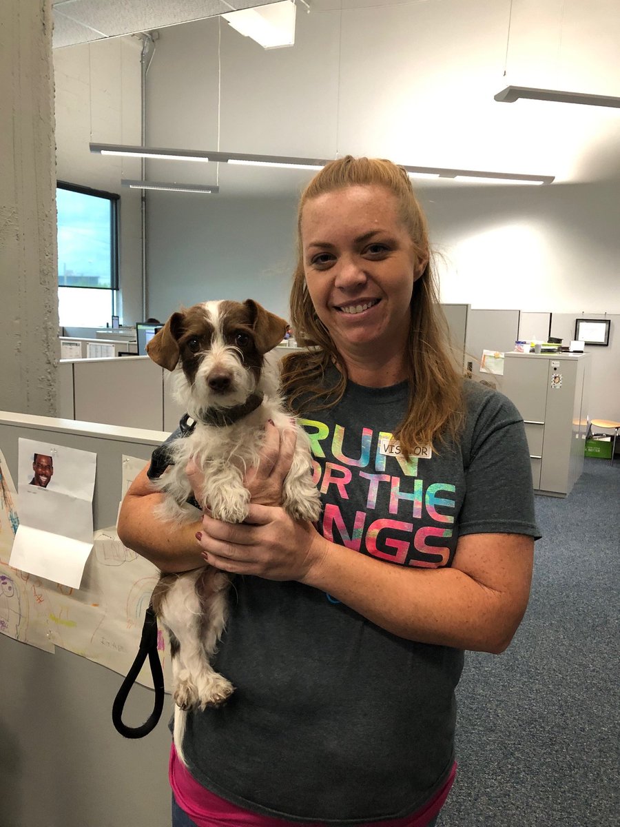 InspirusRewards's tweet photo. Today, we celebrated our very first #FidoFriday at Inspirus. Take a look at these sweet puppers who visited the office. #BringJoyToWork https://t.co/eIKbF471zG