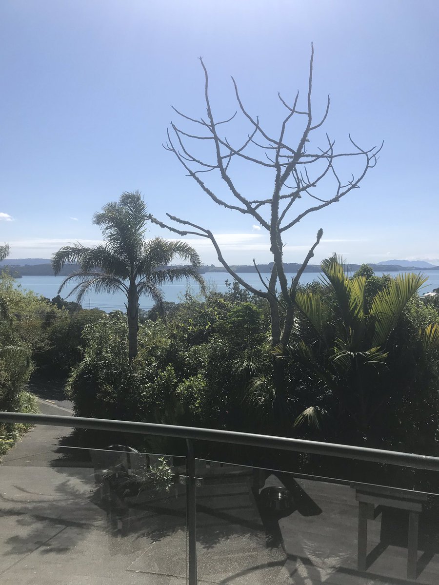 GillianNicholl8's tweet image. Promising pink sky last night💗did not disappoint #prettyday #HappySaturday