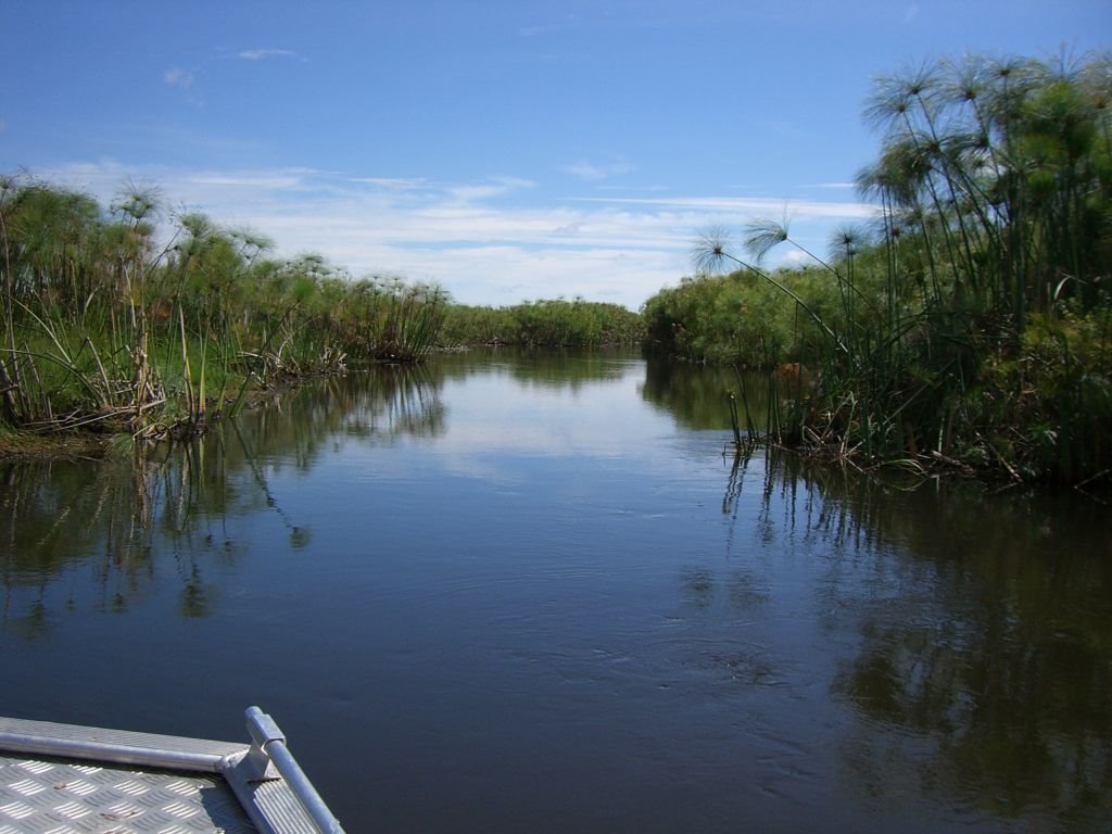 I FEEL COMPASSION tweet media