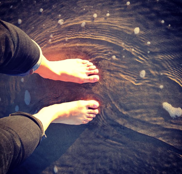 exploredecors's tweet photo. Taking a dip into the ocean. 🌊
#ocean #exploredecors #letsgoexplore https://t.co/L7a3G10zKN