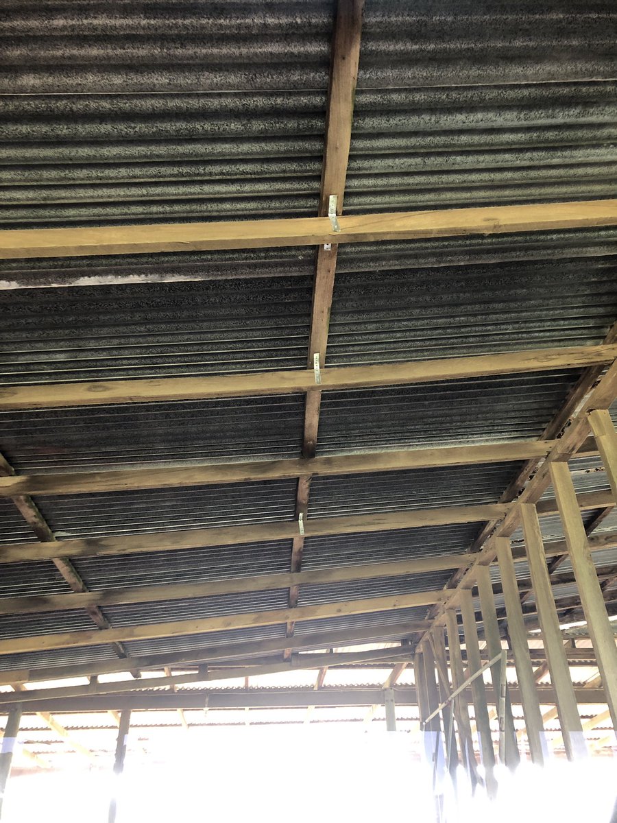 When a couple of 💨 gusts come through and you hear a huge cracking noise 😲 and turn to see part of the calf shed roof doing the Mexican wave....fook! 😩

1 ticket 🎫 to ride the tractor bucket pls 

1 shed roof strapped back together 🤞 #jillofalltrades 🙂