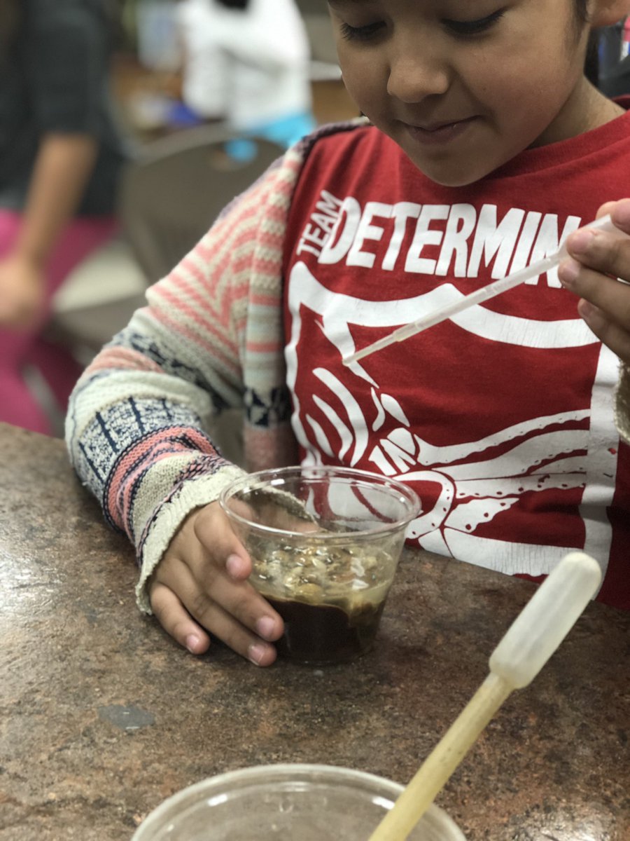 CruzClass's tweet photo. @DallasEEI The students had an amazing time today! Thank you for bringing your knowledge and providing a session full of fun! #waterconservationdallas #dallaseei #iamawatersaver https://t.co/xe3gR1tAAO