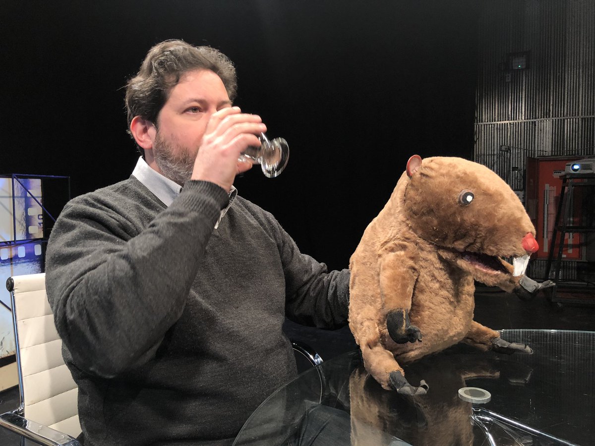 rogerkoza's tweet photo. De último momento: sería la mascota del cameraman que nos odia https://t.co/1MxN5FZCsI