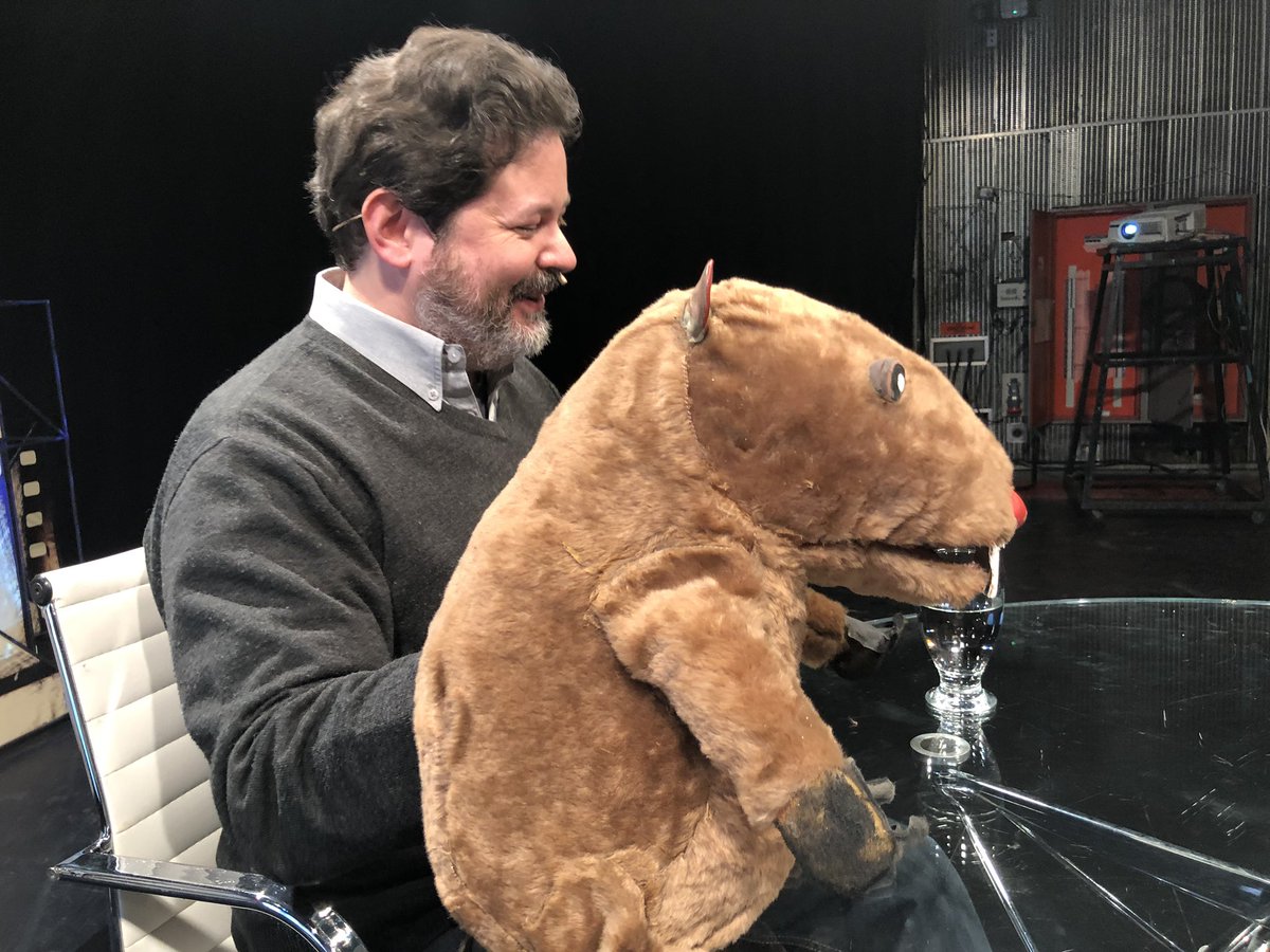 rogerkoza's tweet photo. De último momento: sería la mascota del cameraman que nos odia https://t.co/1MxN5FZCsI