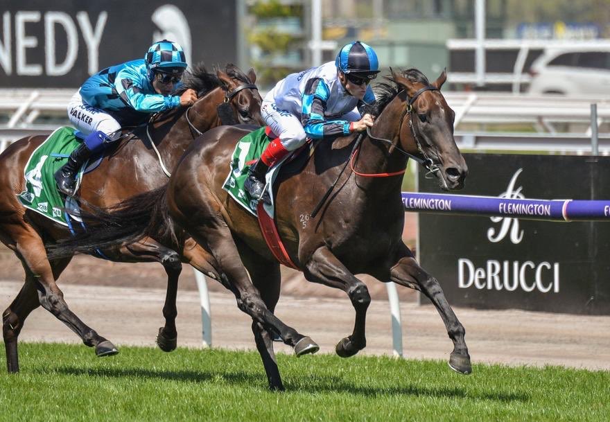 CWilliamsJockey's tweet photo. Craig rides at Caulfield today. Read his preview here: https://t.co/Yrm8Ay9Qih https://t.co/7VPRGPK7H1