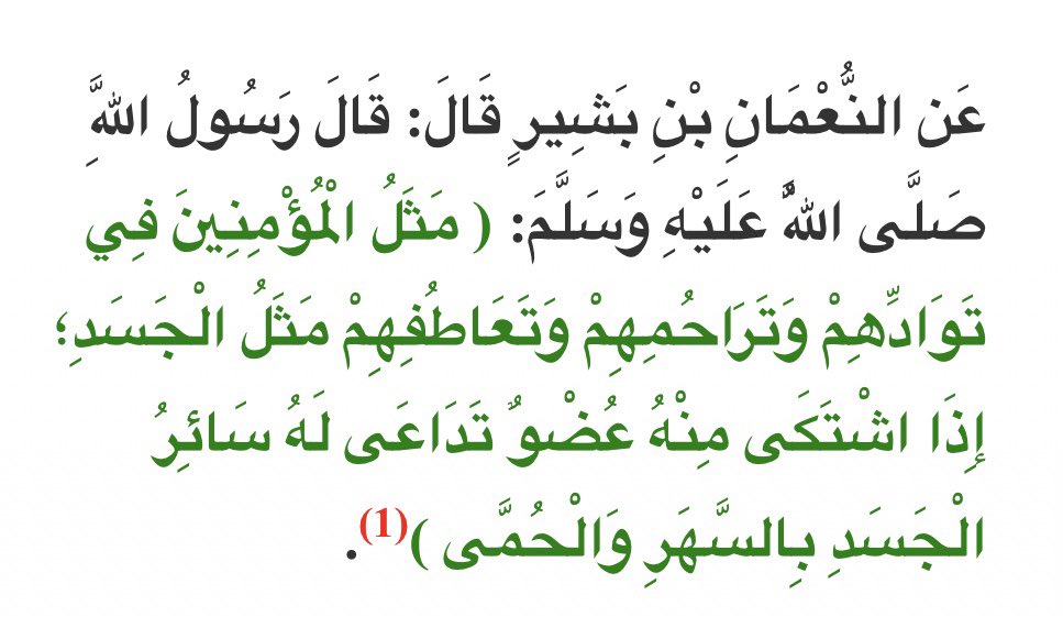 سيدة القصر tweet media