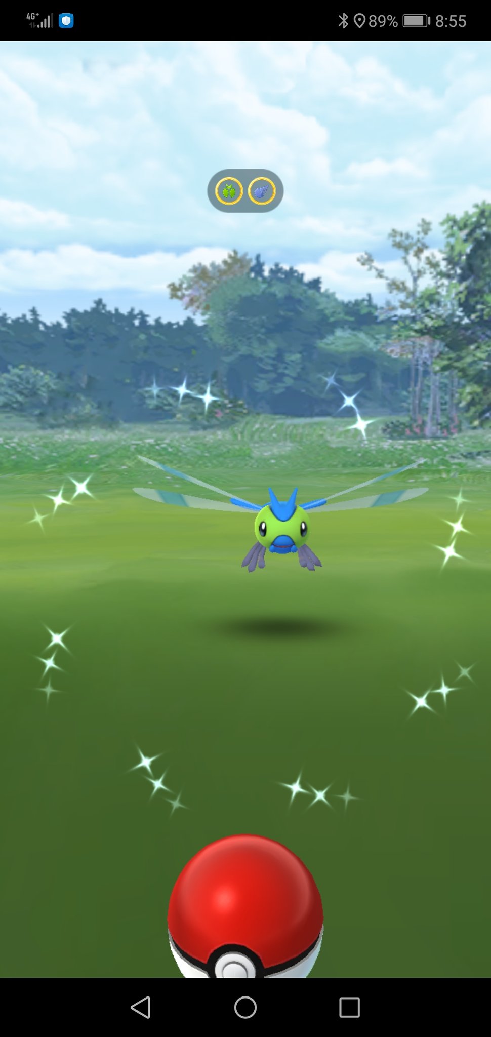 まなてぃ ポケモンgo4赤 兵庫 姫路 加古川 色違いヤンヤンマ 捕獲完了 色違い 色違いポケモン 色違い ヤンヤンマ ヤンヤンマ ポケモンgo T Co H5rpdbln9n Twitter