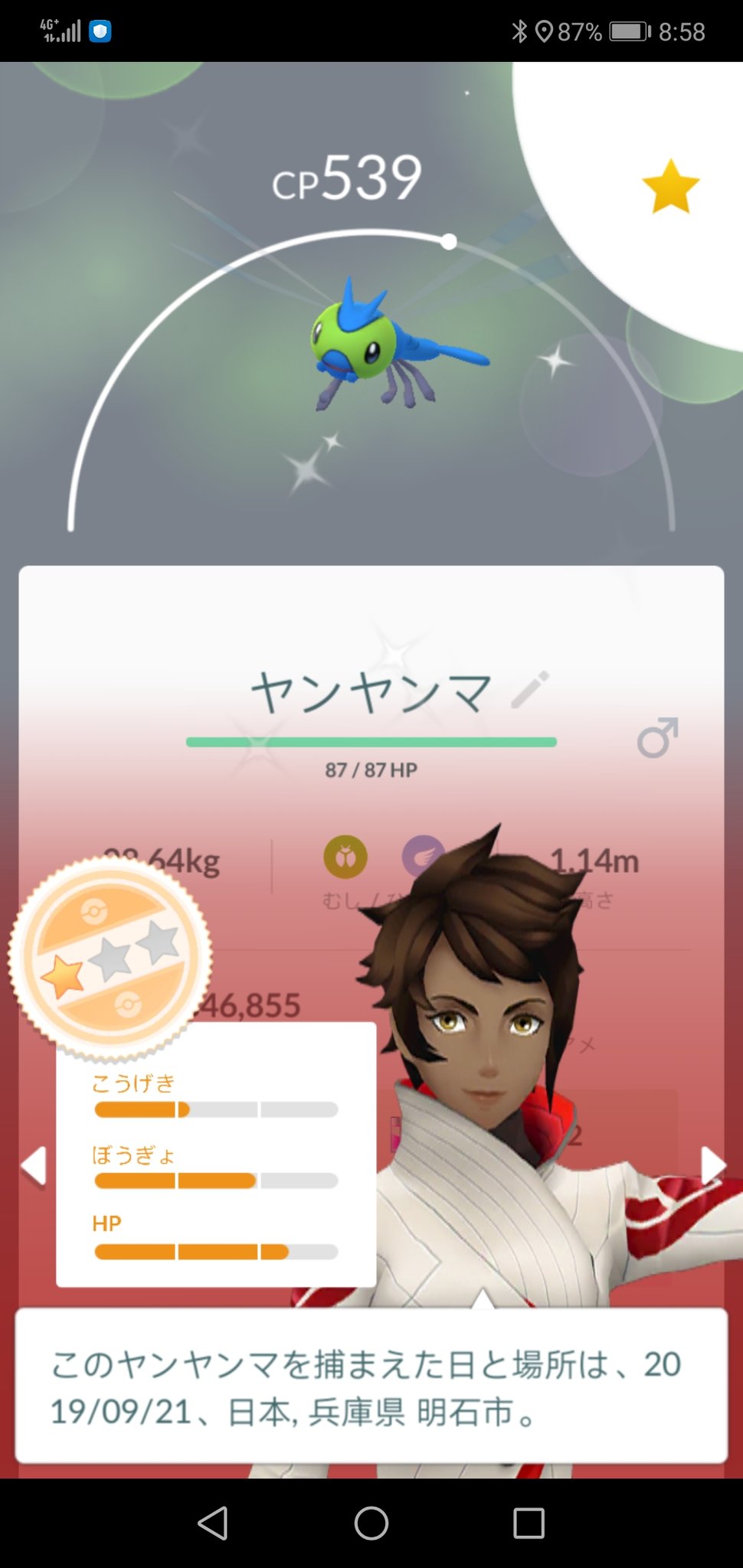 ヤンヤンマ Twitter Search Twitter