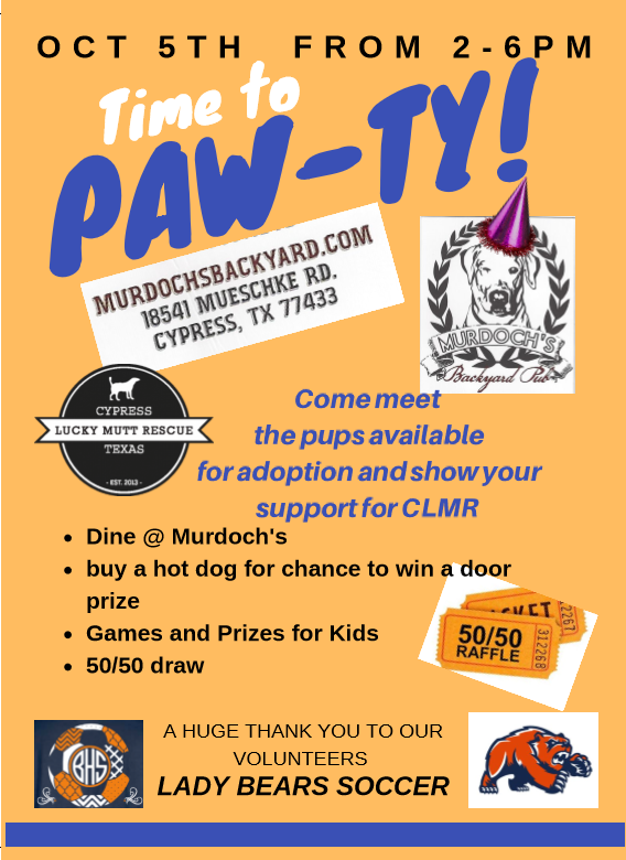 Bridgeland Girls Soccer tweet media