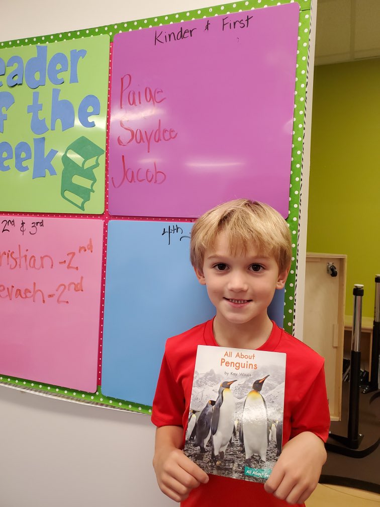 Melania Ionescu tweet media