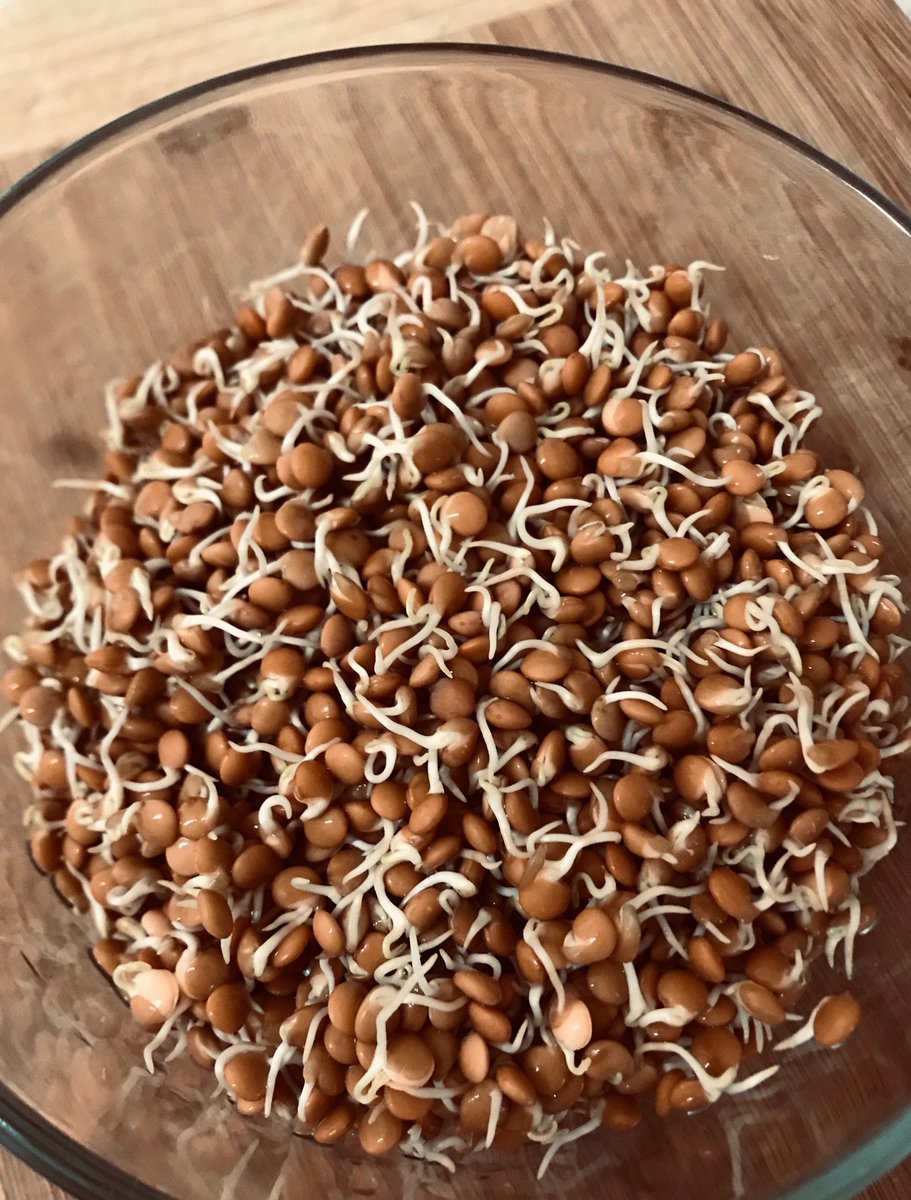 Rosevale Lentils tweet media