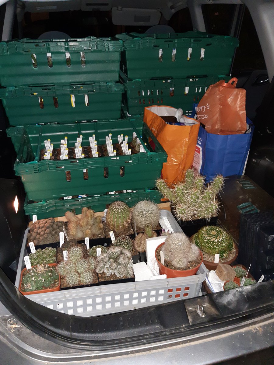 cv_cacti's tweet photo. And we're on our way to CactusWorld Live being held at @Lullingstone today and tomorrow. Looking forward to seeing our @CactusSucculent friends and making some new ones too! #cvcacti #bcss #cacti #succulents #cactusshow #cactusmart #plantsale https://t.co/3DuW0jXD8C