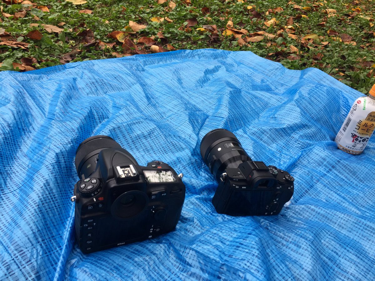 photon_web's tweet image. 友人がカメラを買ったので撮り方を教えて欲しいとの事で今日は1日カメラ講師。α7ええなあ。