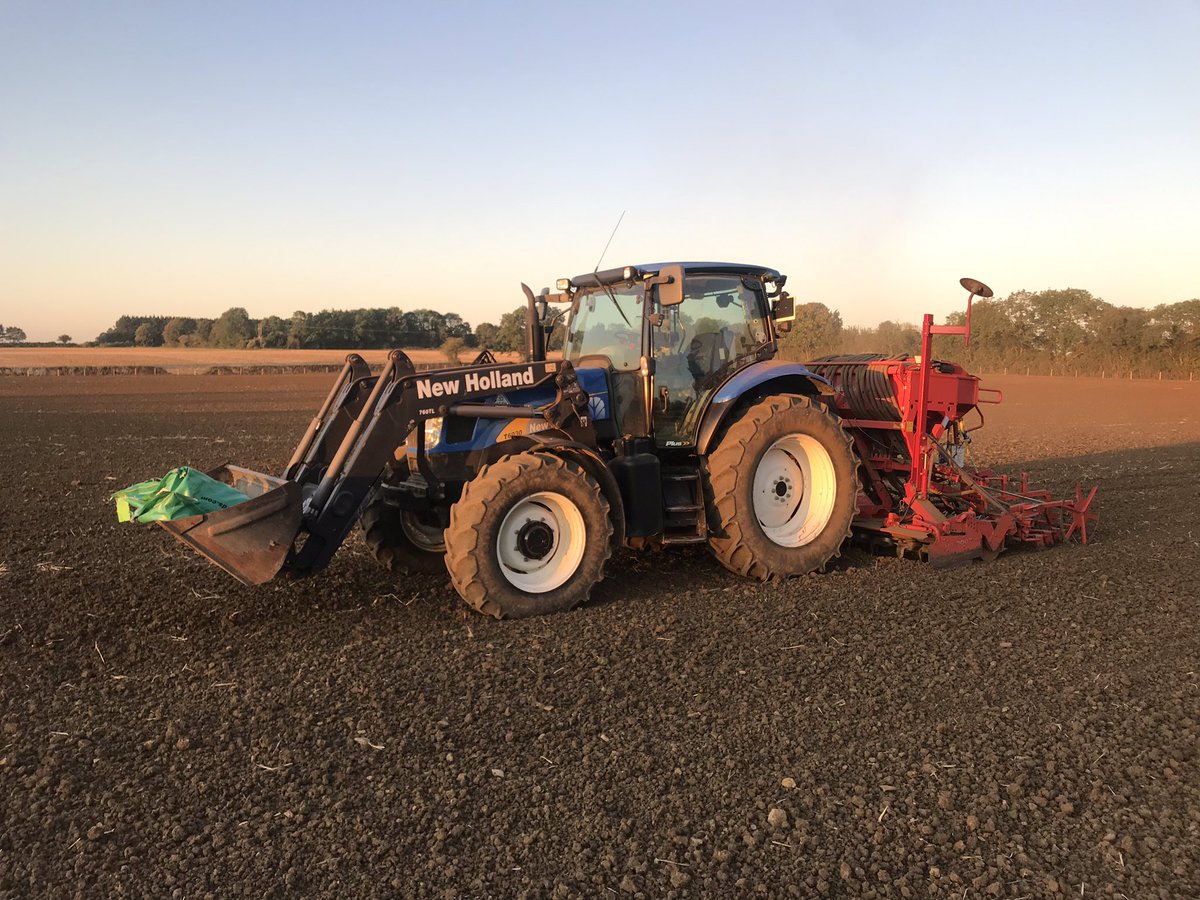 Samuel Clarke tweet media