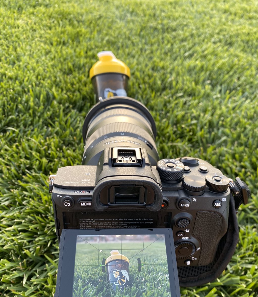 Practicing my photography 

And what better on such a beautiful subject? 🥰
