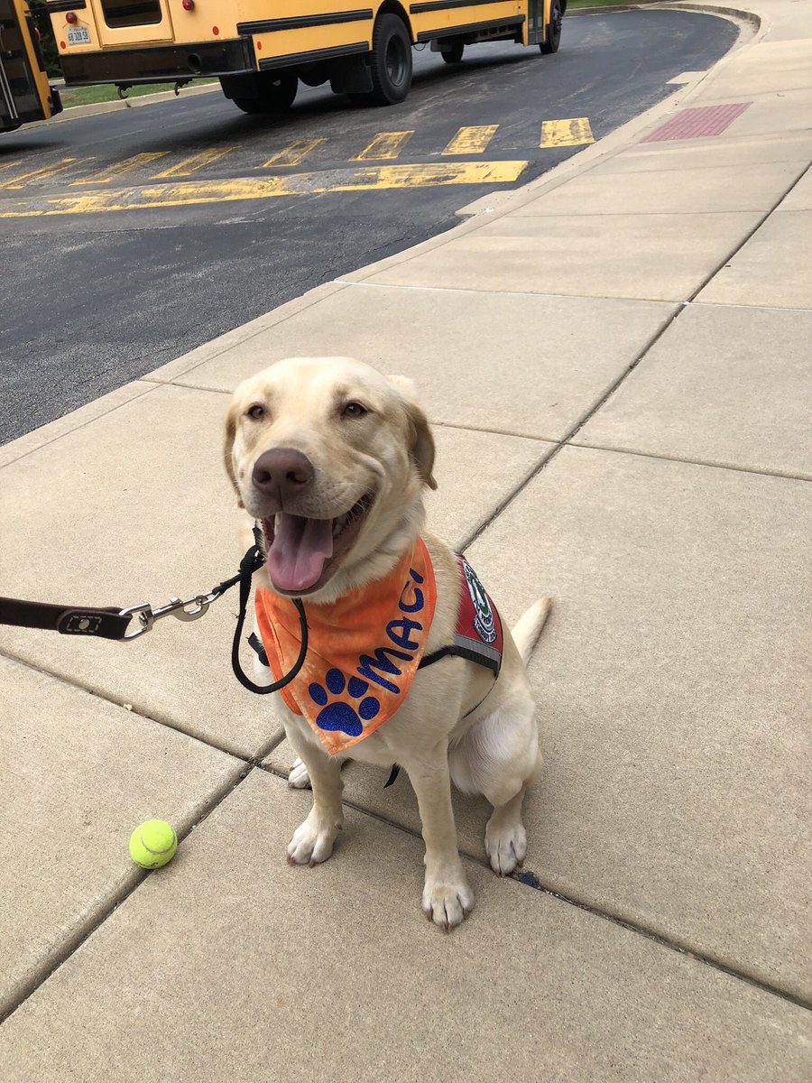 panthermaci's tweet photo. I’m loving my new bandana for school! https://t.co/Hwa5JNd115