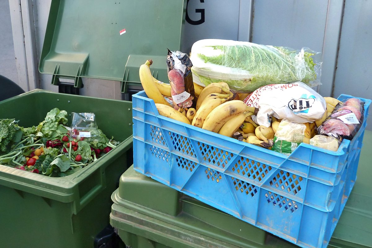 Утилизация продуктов