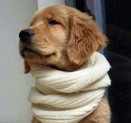 retrievans's tweet image. 