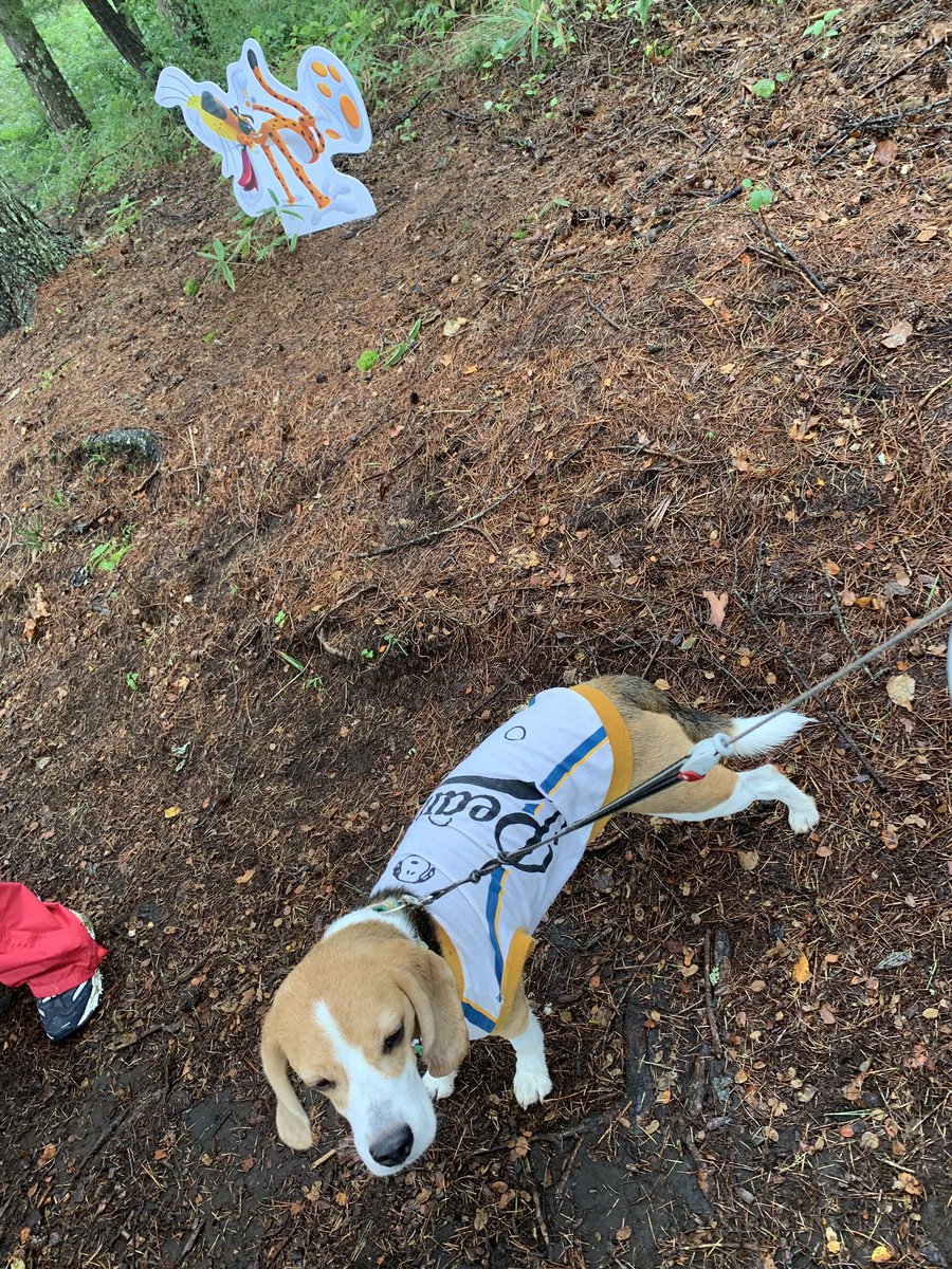 reoren3's tweet photo. #チェスターチーター発見#チートス#マイクポップコーン https://t.co/zoNOAcQ8lF