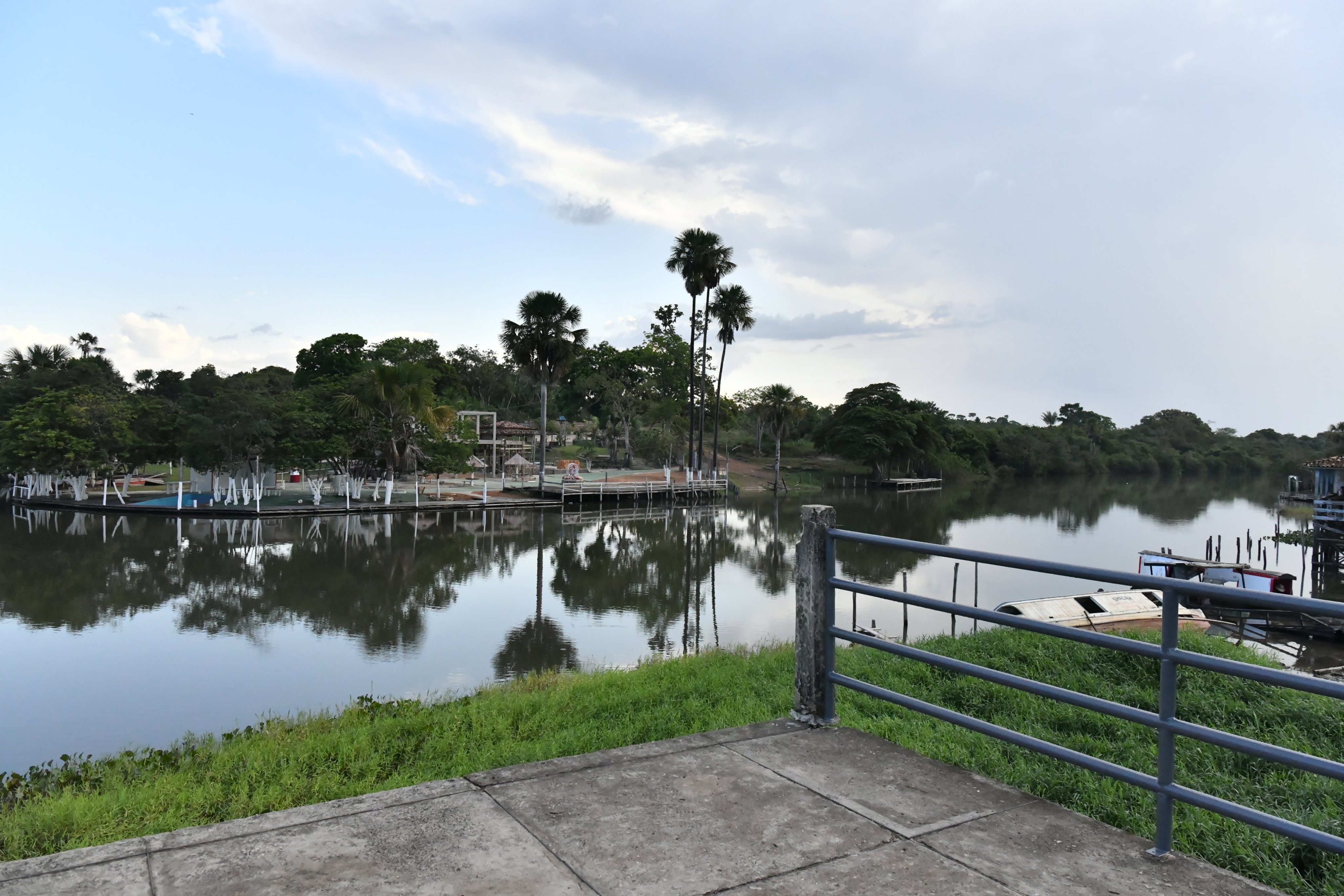 外山尚之 日本経済新聞 今回 取材したトメアスはブラジル北部パラ州の州都ベレンから自動車で4時間 日本人が移住した90年前は道路も通っておらず 14時間かけて船で移動する 秘境 だった 当時 日本政府は過剰人口の人減らしとして官民一体で自