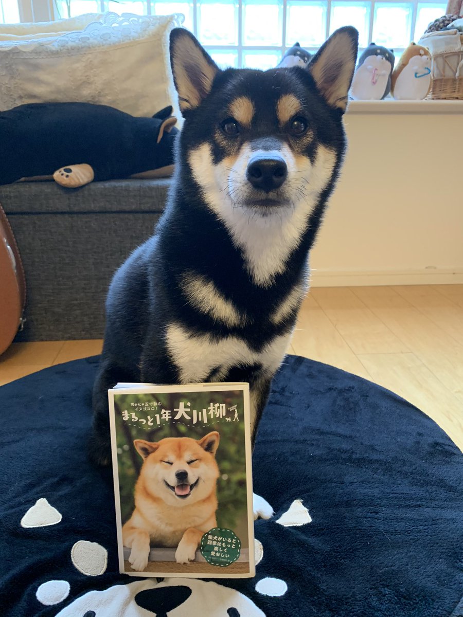 犬川柳 犬川柳