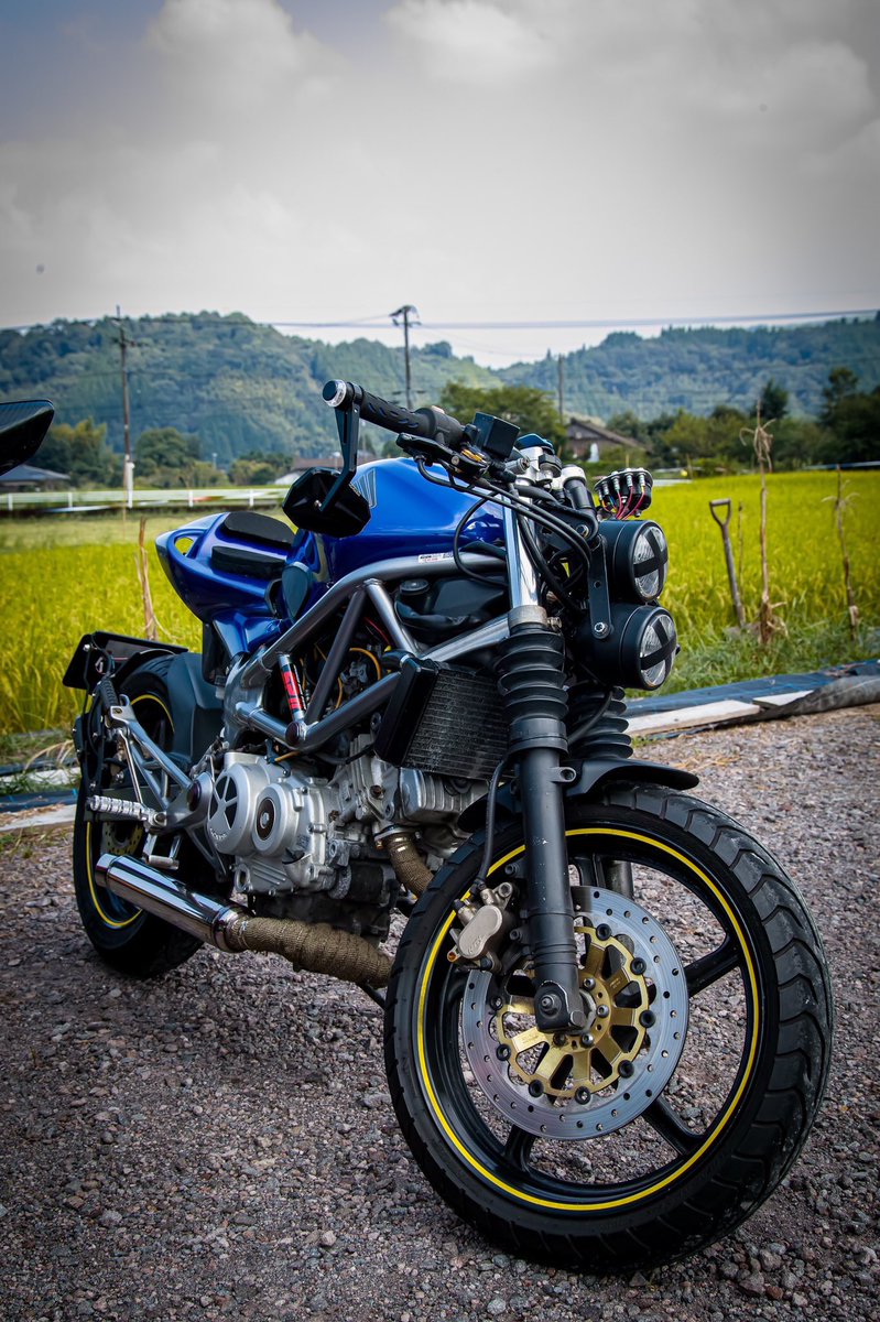 なない Vtr250 Di Twitter マスターに撮ってもらったうちのvtr250は5割増し以上にかっこよく見えるからほんとに感謝