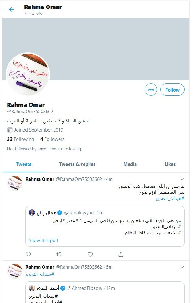 Operation Egypt tweet media