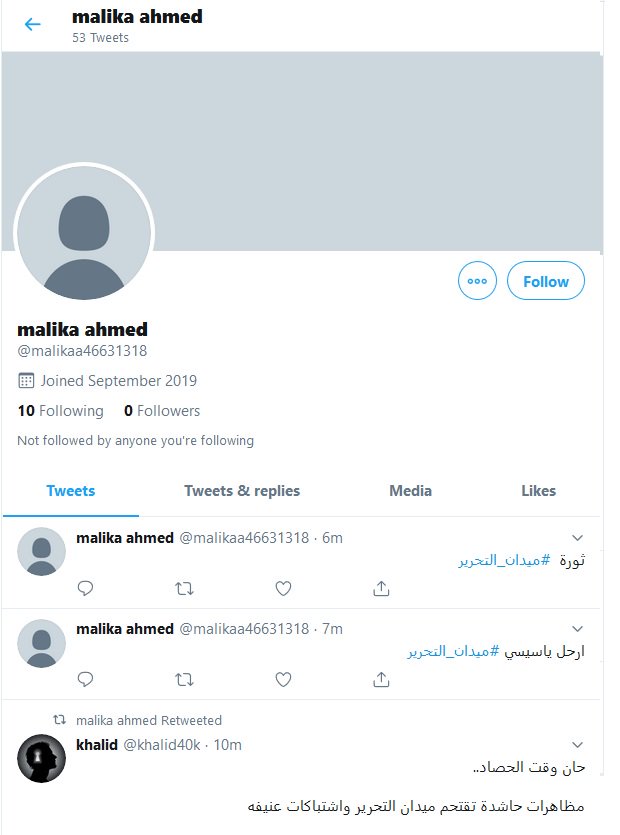 Operation Egypt tweet media