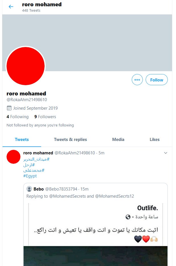 Operation Egypt tweet media