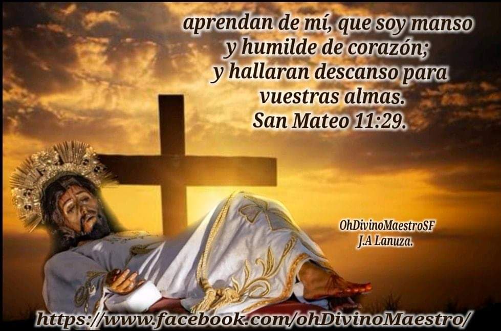 OhDivinoMaestro's tweet photo. APRENDAN DE MÍ, QUE SOY MANSO Y HUMILDE DE CORAZÓN; Y HALLARAN DESCANSO PARA VUESTRAS ALMAS. San Mateo 11:29.

MIRAD A MI SIERVO, MI ELEGIDO, MI AMADO, MI PREDILECTO. SOBRE ÉL HE PUESTO MI ESPÍRITU PARA QUE ANUNCIE EL DERECHO A LAS NACIONES.

@OhDivinoMaestro 
@colochodesanfe https://t.co/ezapfDmvm3