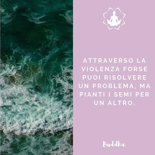 Meditazione Zen Meditazionezen Meditazione Aforismi Aforisma Frasi Ispirazione Saggezza Citazioni Meditare Cambiamenti Crescitapersonale Like4like Buongiorno Motivazione Felicita Frase Frasedelgiorno Frasi Sicambia