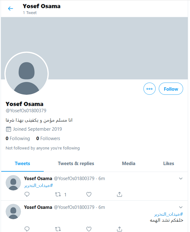 Operation Egypt tweet media