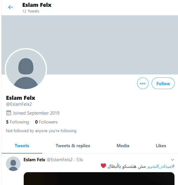 Operation Egypt tweet media